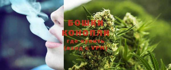 крисы Бронницы