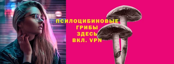 MDMA Premium VHQ Бородино